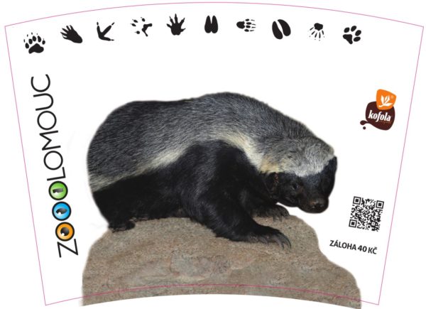 Kelímek 0,3l - Image 4