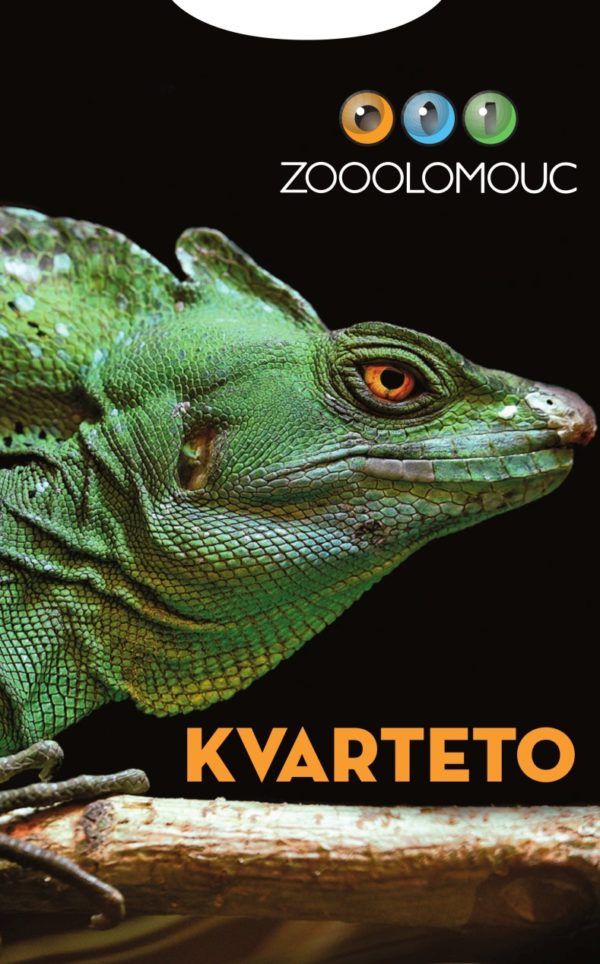 Kvarteto - Image 2