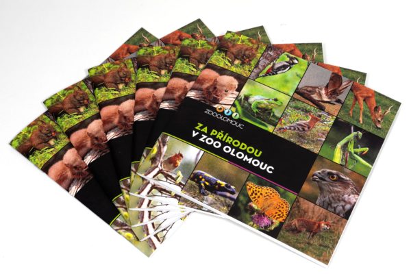Za přírodou v zoo - brožura