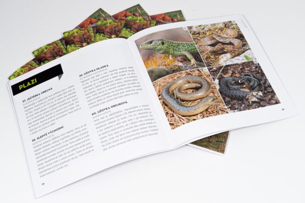 Za přírodou v zoo - brožura - Image 3