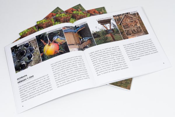 Za přírodou v zoo - brožura - Image 4