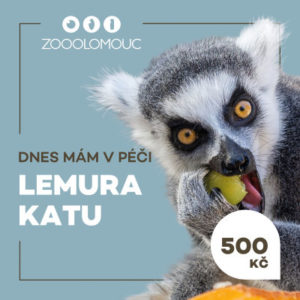 Mám v péči – Lemur kata